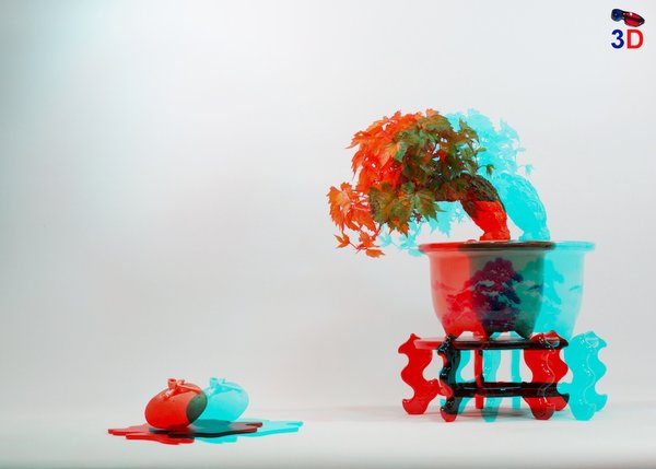 Wein Bonsai in 3D Anaglyph