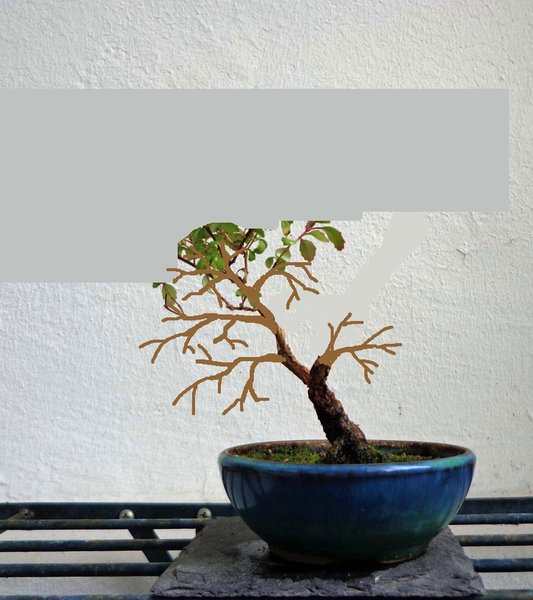 Fuchsie Britta.jpg