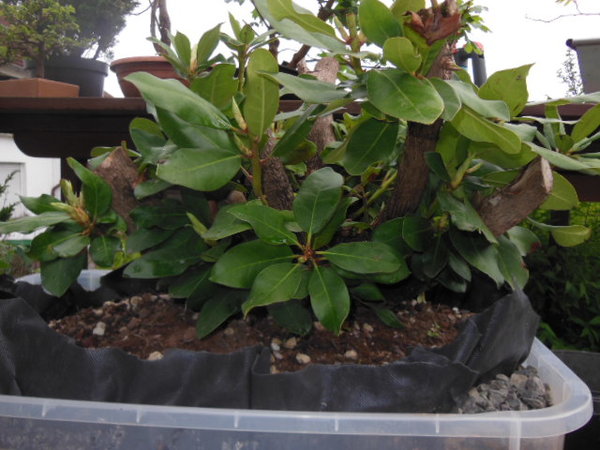 DSCN1108.JPG