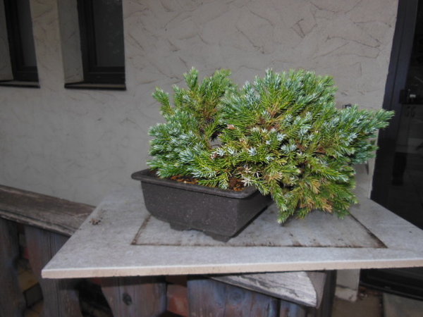 DSCN1103.JPG