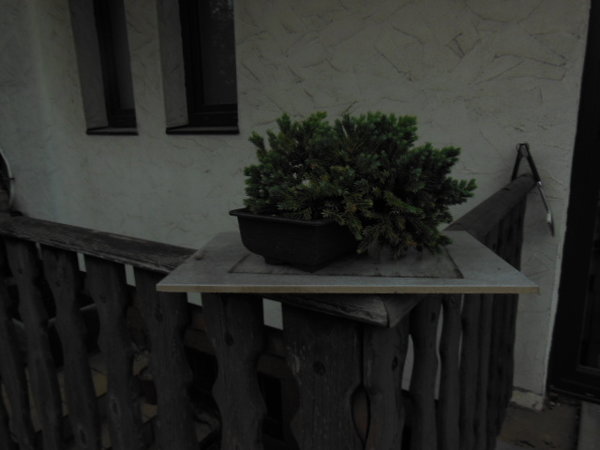 DSCN1102.JPG
