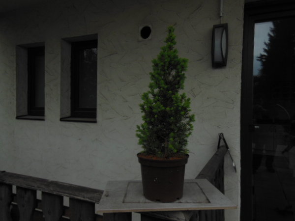 DSCN1104.JPG
