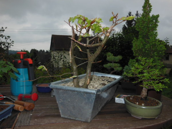DSCN1105.JPG