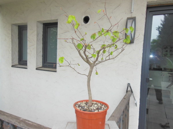 DSCN1111.JPG