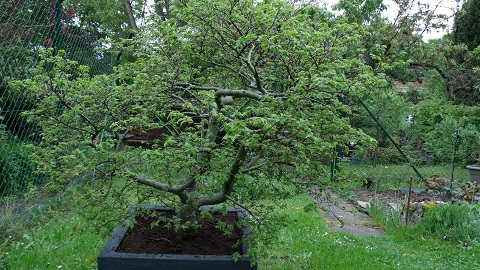 170507_1.jpg