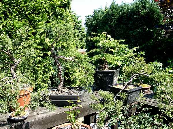 Garten05.jpg