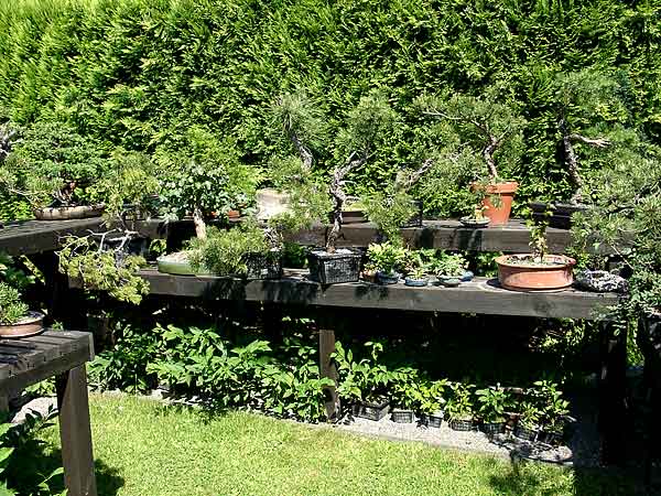 Garten04.jpg