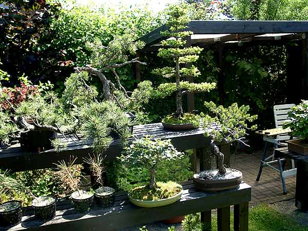 Garten09.jpg