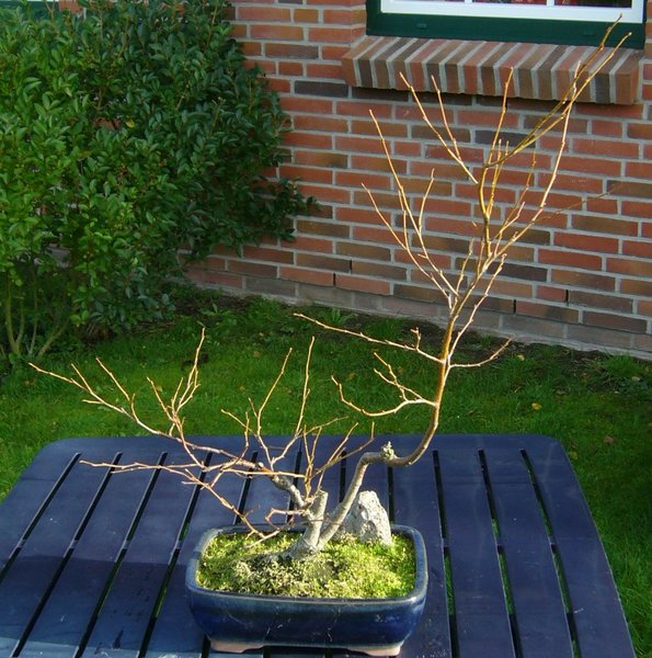 November 2008