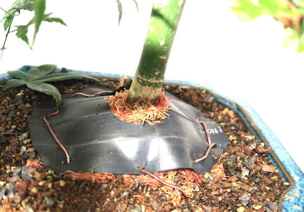 2015-08-16 -8.jpg