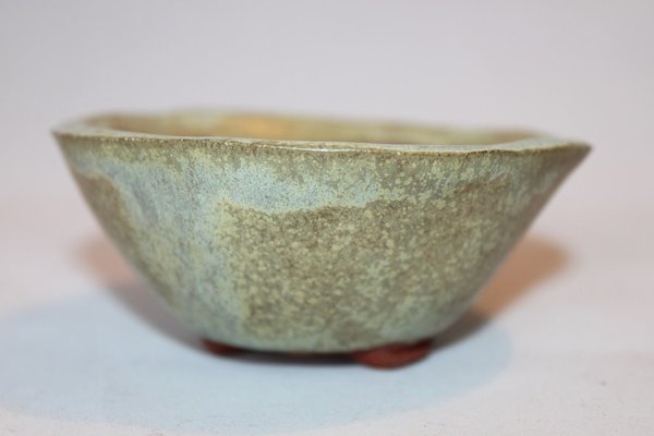 Akzentschale-gruen-beige.jpg
