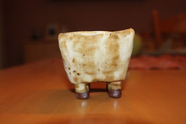 Shohin2.jpg