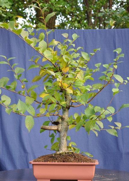 Oktober 2011
