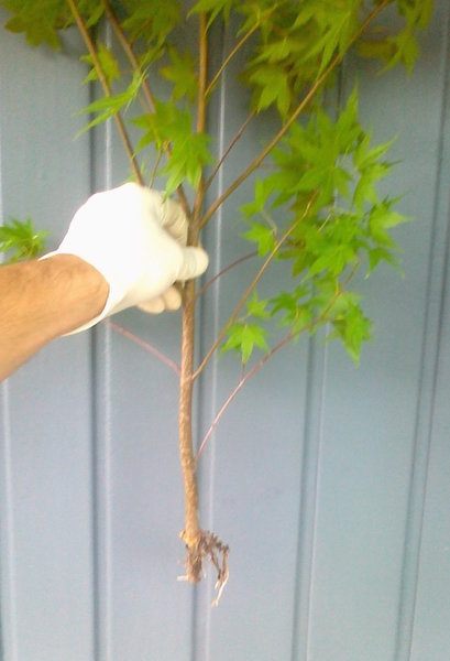 2012-07-17 -3.jpg