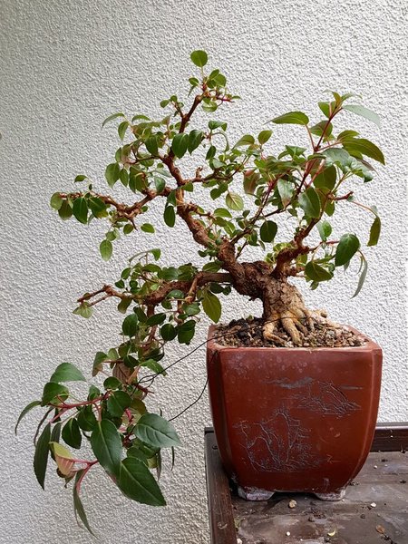 20170514_192019.jpg