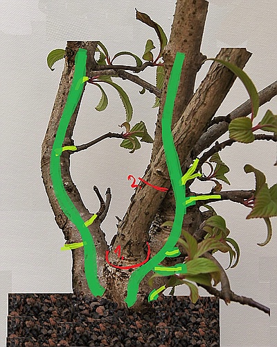 Detail 1