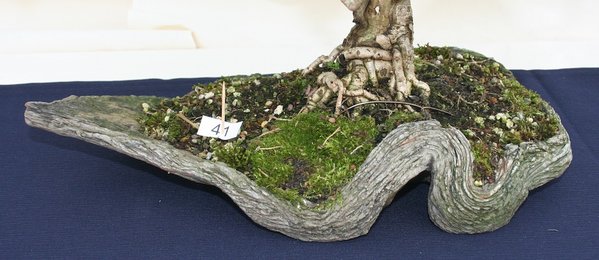 IMG_2864.jpg