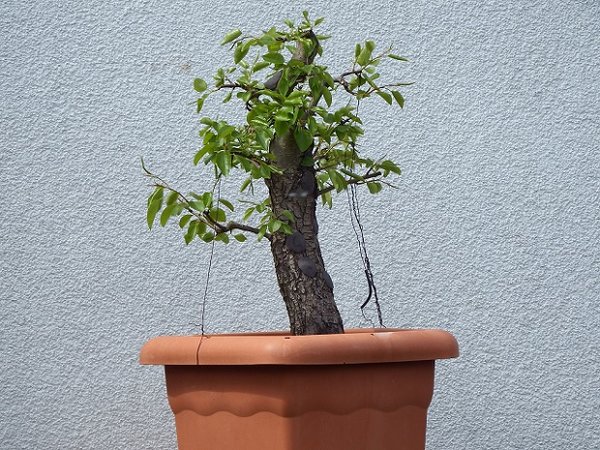2014 - eingekürzt
