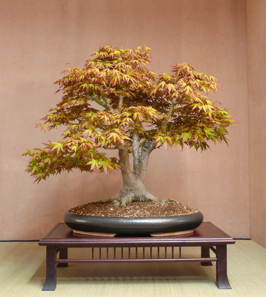P1200250k.JPG