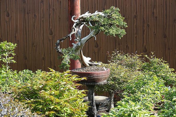010_Koju-en_a_f.jpg