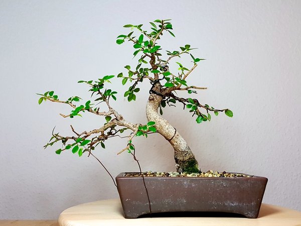 20170519_222210.jpg