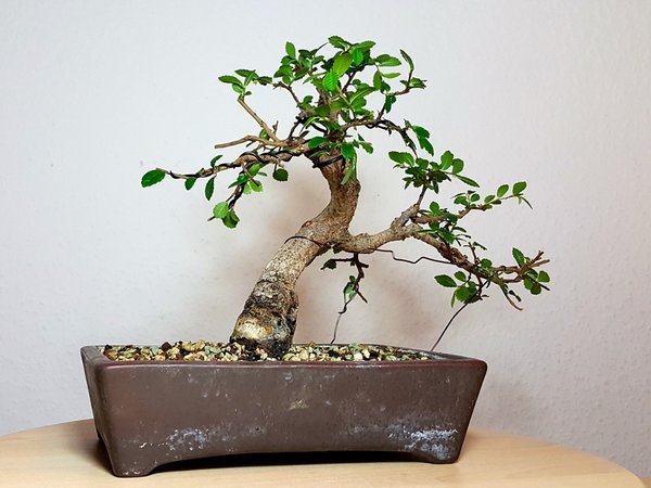 20170519_222307.jpg