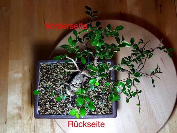 20170519_225530.jpg