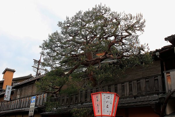 014_Kyoto_a_f.jpg