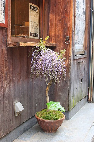 024_Kyoto_a_f.jpg