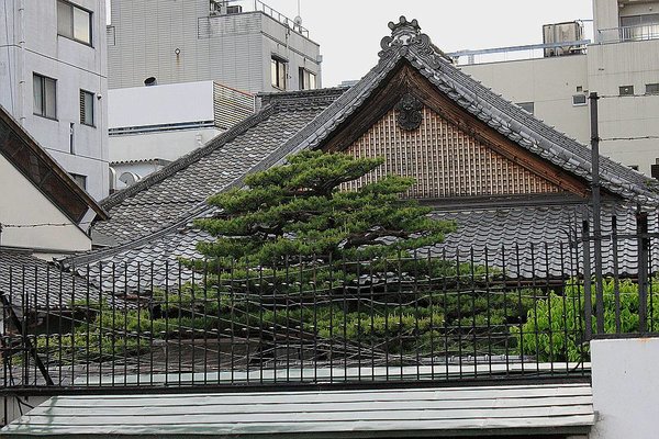 026_Kyoto_a_f.jpg