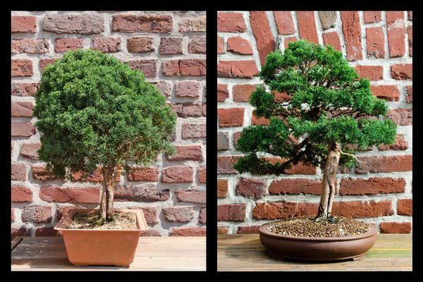 rechts alt/neu