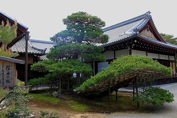 007_Golden_Pavilion_a_f.jpg