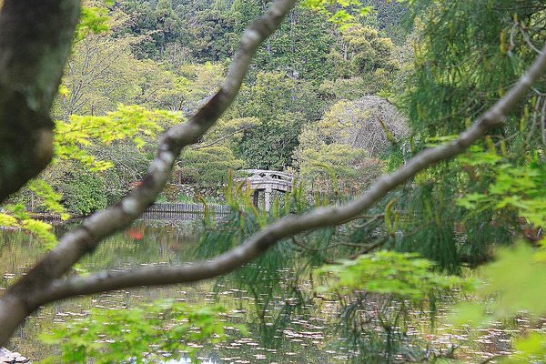 002_Ryoanji_Temple_a_f.jpg