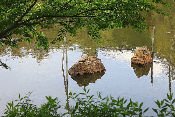 025_Ryoanji_Temple_a_f.jpg