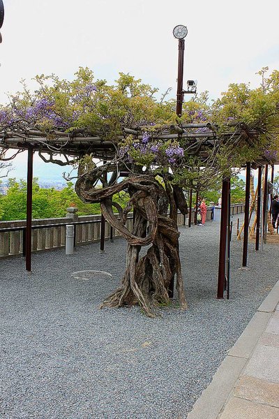 006_Kiyomizu_Temple_a_f.jpg