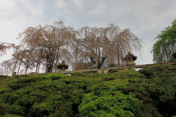 019_Kiyomizu_Temple_a_f.jpg