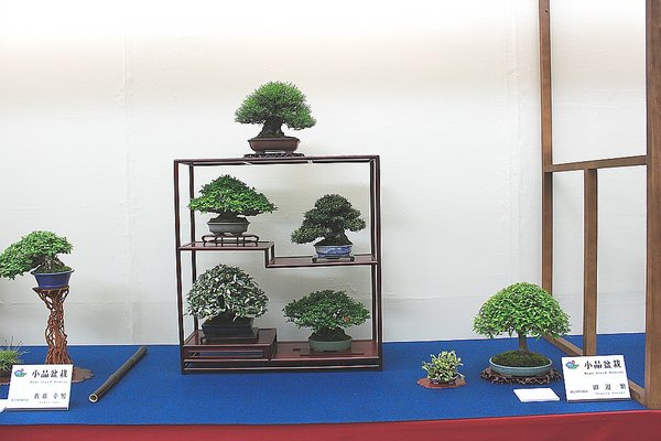 003_WBC Ausstellung_a_f.jpg