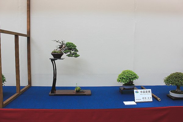 004_WBC Ausstellung_a_f.jpg