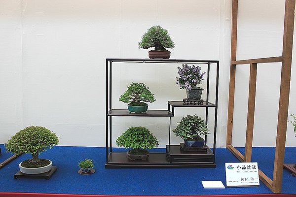 005_WBC Ausstellung_a_f.jpg