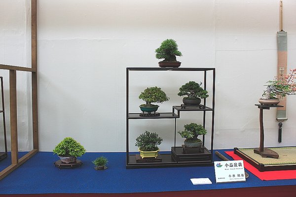 009_WBC Ausstellung_a_f.jpg