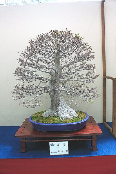 011_WBC Ausstellung_a_f.jpg
