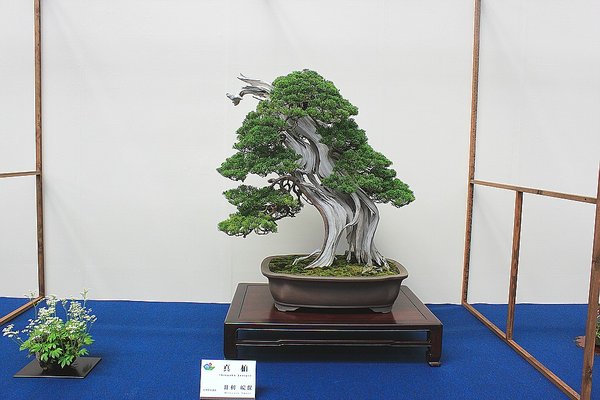 012_WBC Ausstellung_a_f.jpg