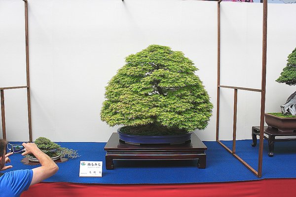 013_WBC Ausstellung_a_f.jpg
