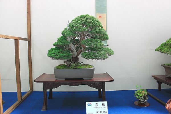 014_WBC Ausstellung_a_f.jpg