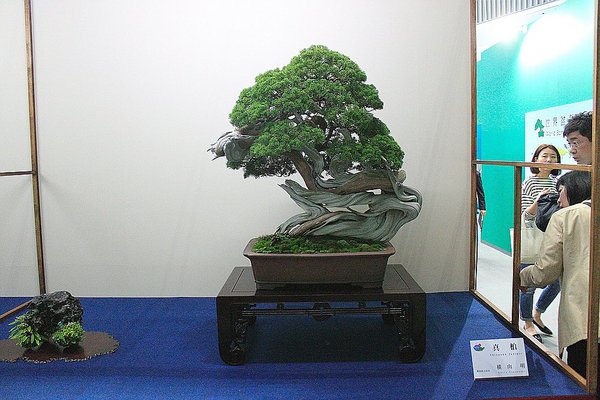 015_WBC Ausstellung_a_f.jpg