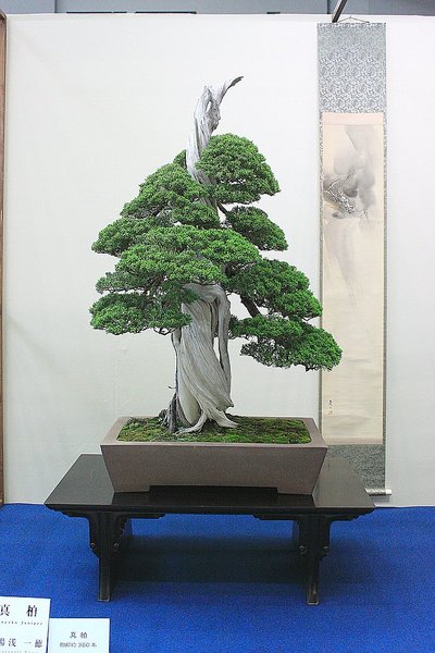 017_WBC Ausstellung_a_f.jpg