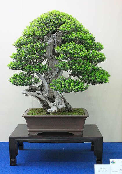 019_WBC Ausstellung_a_f.jpg