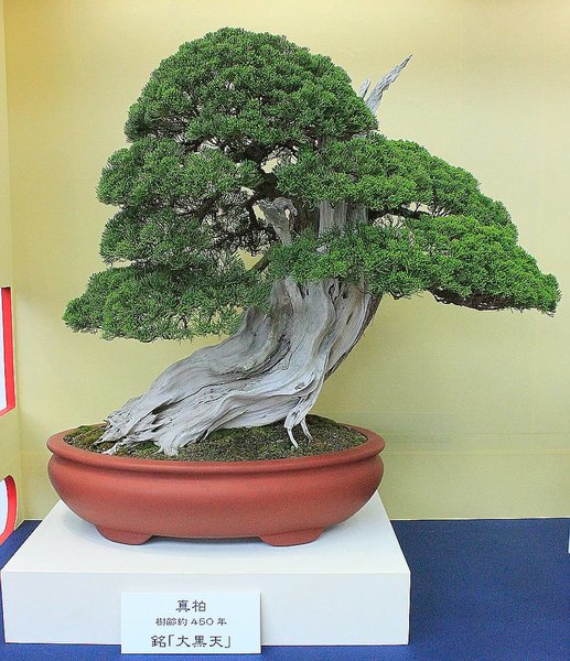 020_WBC Ausstellung_a_f.jpg