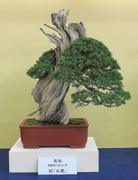 022_WBC Ausstellung_a_f.jpg