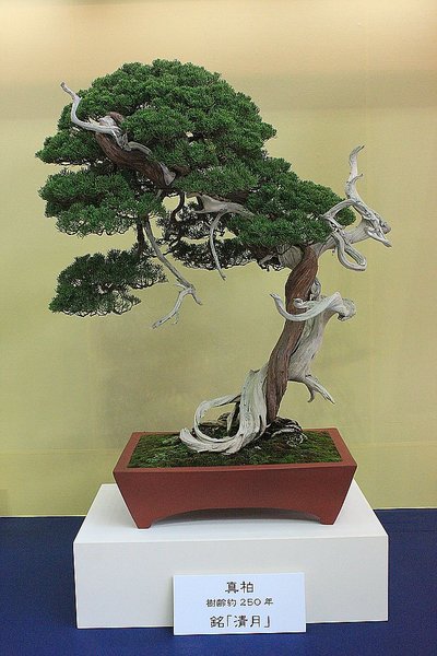023_WBC Ausstellung_a_f.jpg